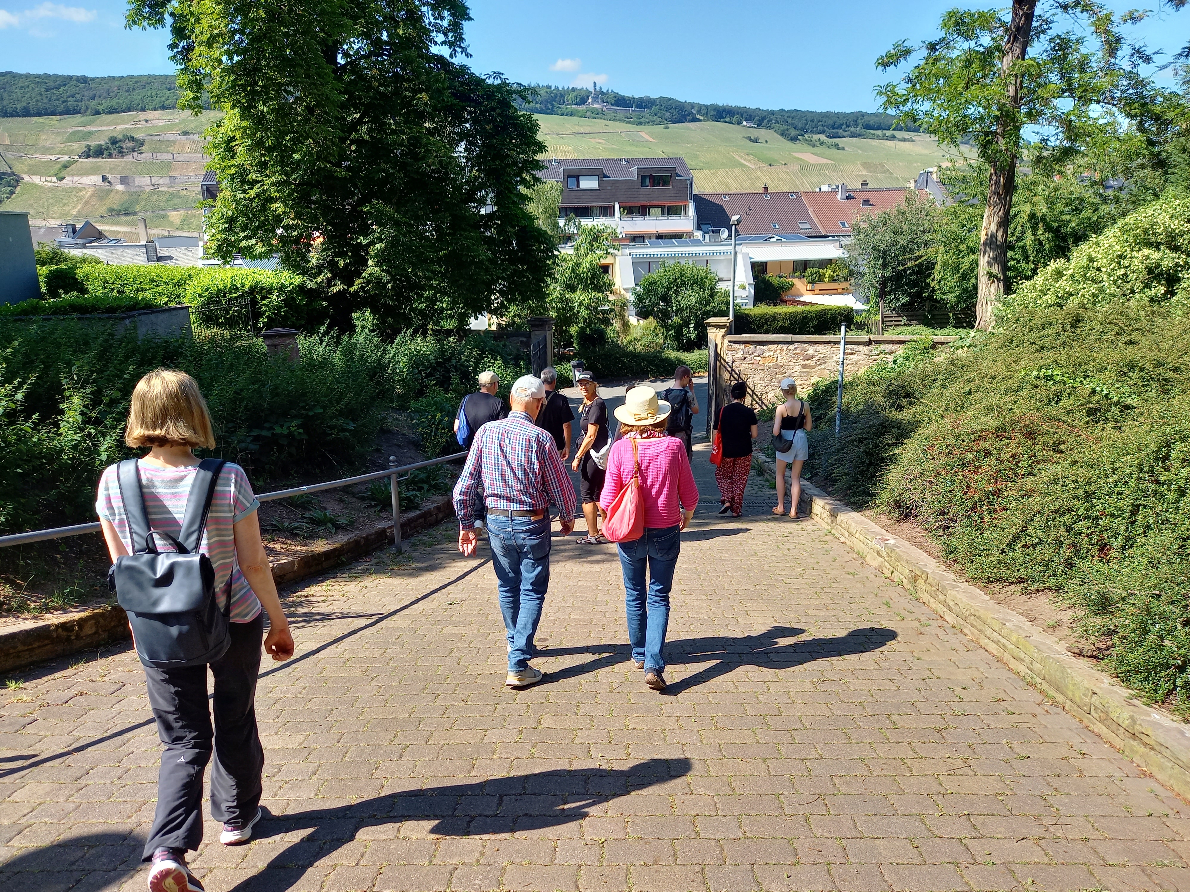 Klima- und Hitzespaziergang durch Bingen