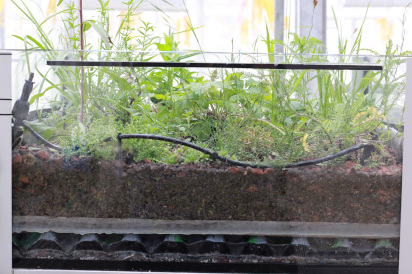 Das Miniatur Dachmodell zeigt den Aufbau eines Gründachs.