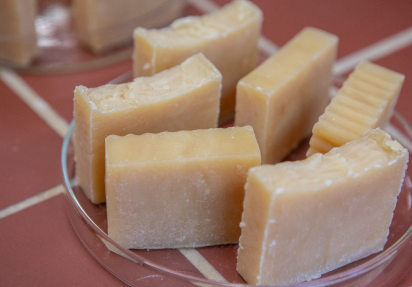 Seifenstücke, die aus dem Öl der Larven der Schwarzen Soldatenfliege (Hermetia illucens L.) hergestellt wurden